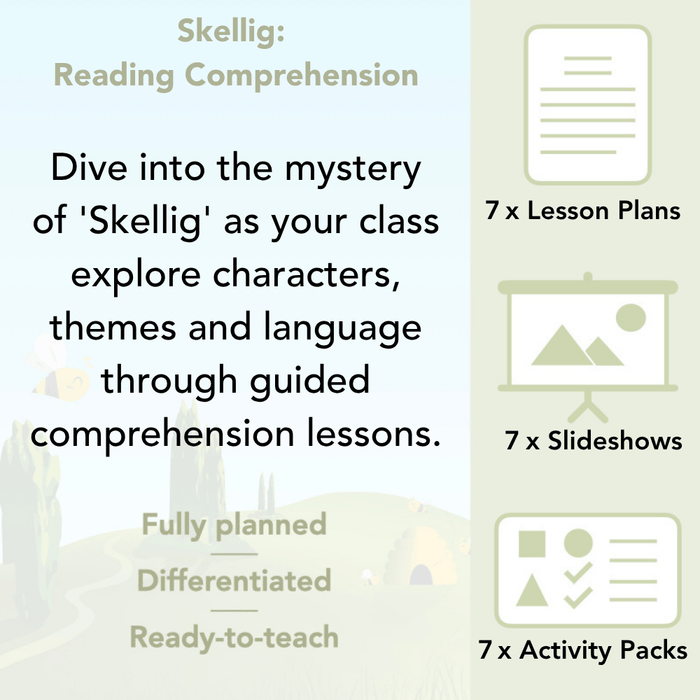 PlanBee Skellig Reading Comprehension KS2 | Year 6 English Lessons