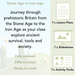 PlanBee Stone Age to Iron Age Year 3 and 4 | History Lessons KS2