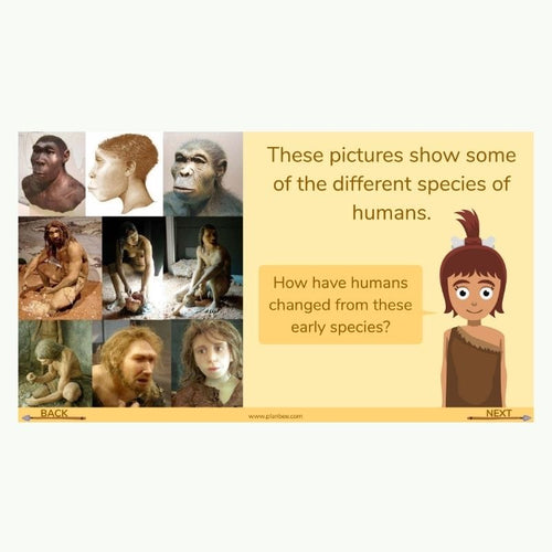 Lesson 2: Stone Age People