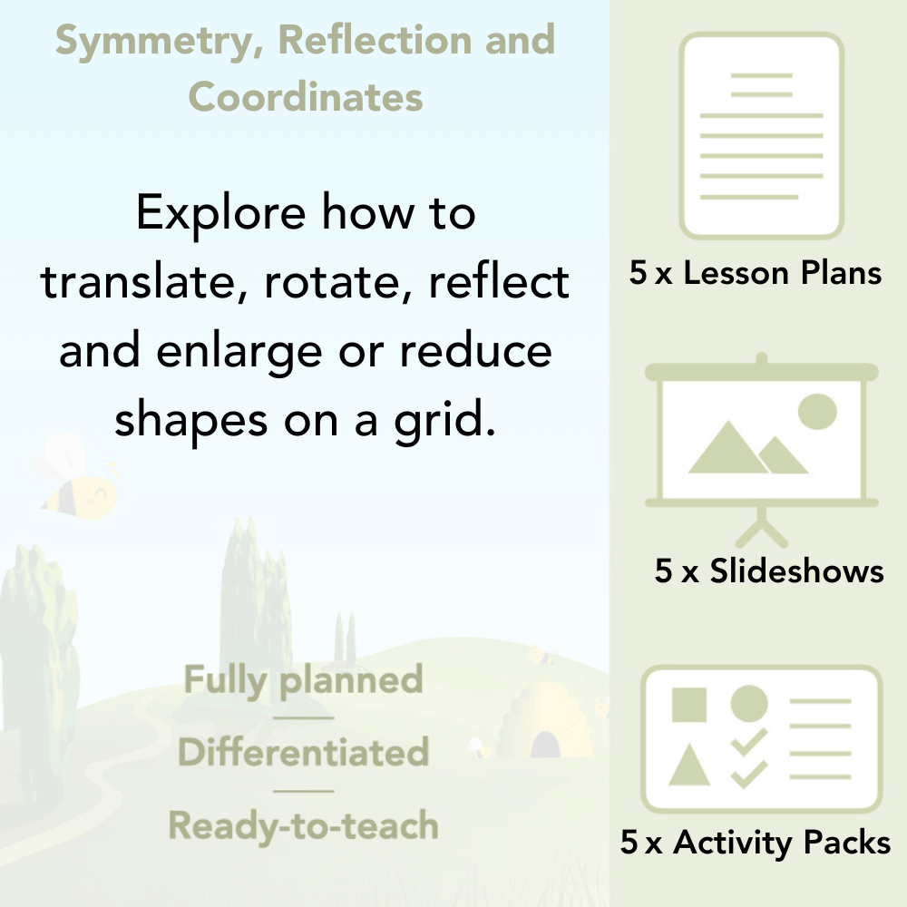 PlanBee Symmetry, Reflection & Coordinates Year 5 Maths 