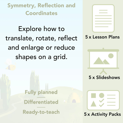 PlanBee Symmetry, Reflection & Coordinates Year 5 Maths 
