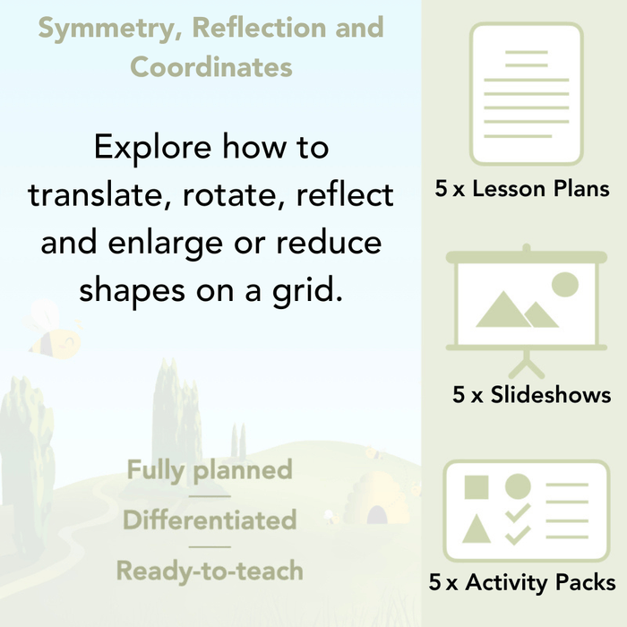 PlanBee Symmetry, Reflection & Coordinates Year 5 Maths 