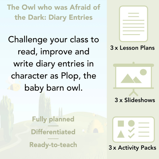 PlanBee FREE | The Owl who was Afraid of the Dark | Diaries KS2