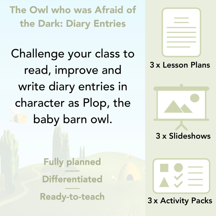 PlanBee FREE | The Owl who was Afraid of the Dark | Diaries KS2
