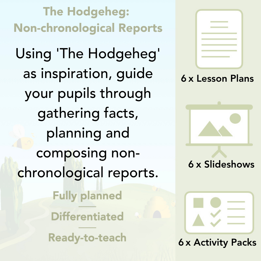 PlanBee The Hodgeheg Activities Non-Chronological Reports Year 2