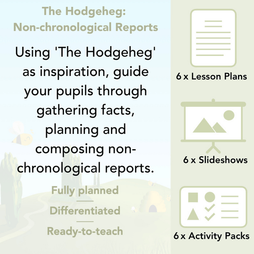 PlanBee The Hodgeheg Activities Non-Chronological Reports Year 2