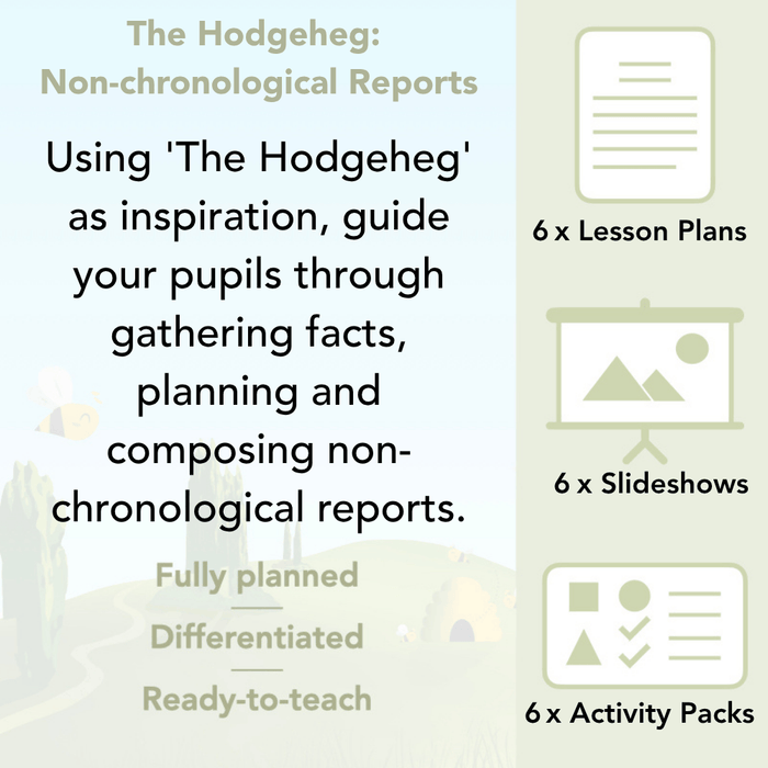 PlanBee The Hodgeheg Activities Non-Chronological Reports Year 2