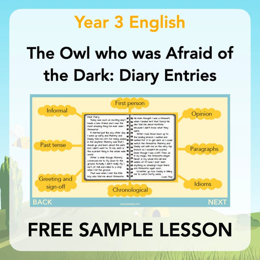 PlanBee FREE | The Owl who was Afraid of the Dark | Diaries KS2