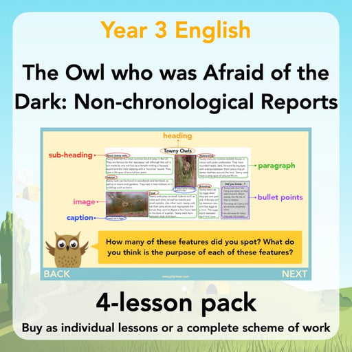 PlanBee The Owl who was Afraid of the Dark | KS2 Non-chronological Reports