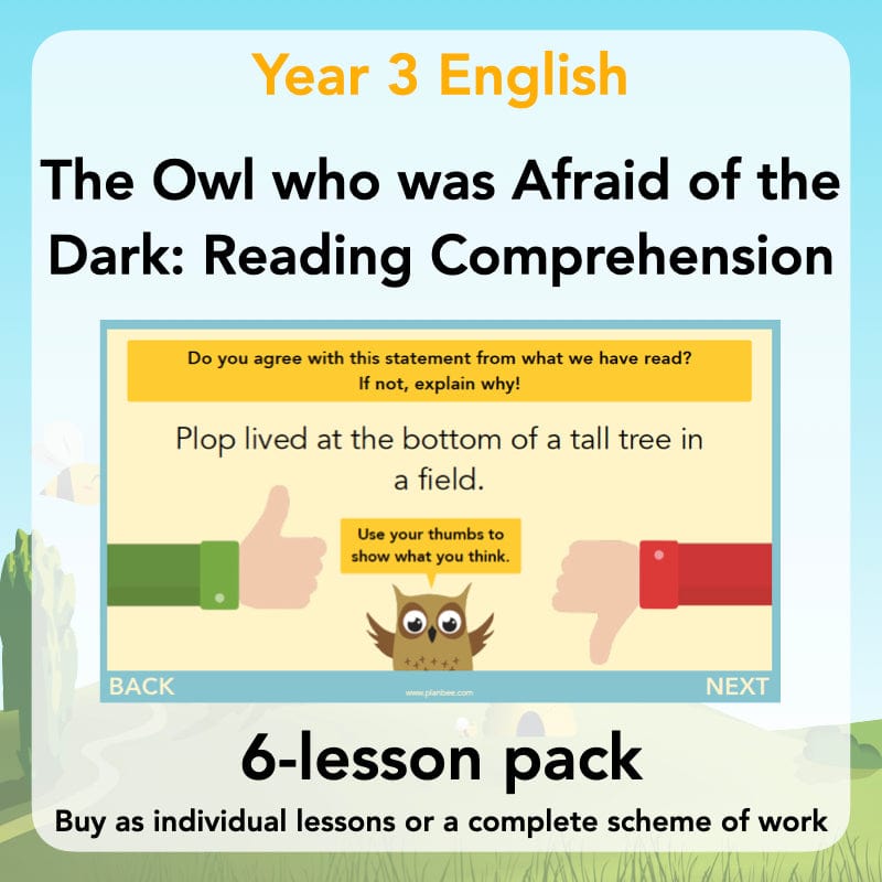 PlanBee The Owl who was Afraid of the Dark | KS2 Comprehension