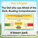 PlanBee The Owl who was Afraid of the Dark | KS2 Comprehension