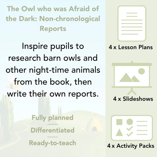 PlanBee The Owl who was Afraid of the Dark | KS2 Non-chronological Reports