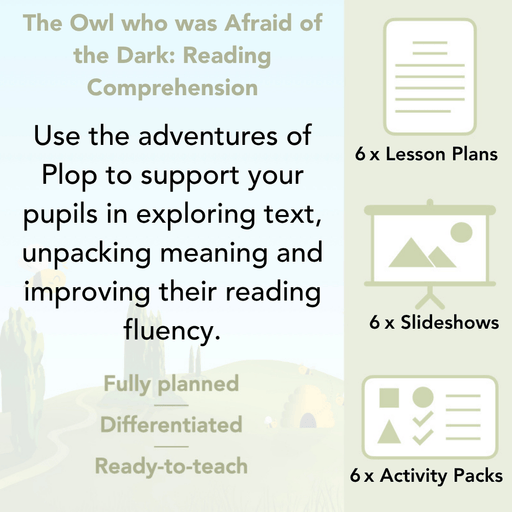 PlanBee The Owl who was Afraid of the Dark | KS2 Comprehension