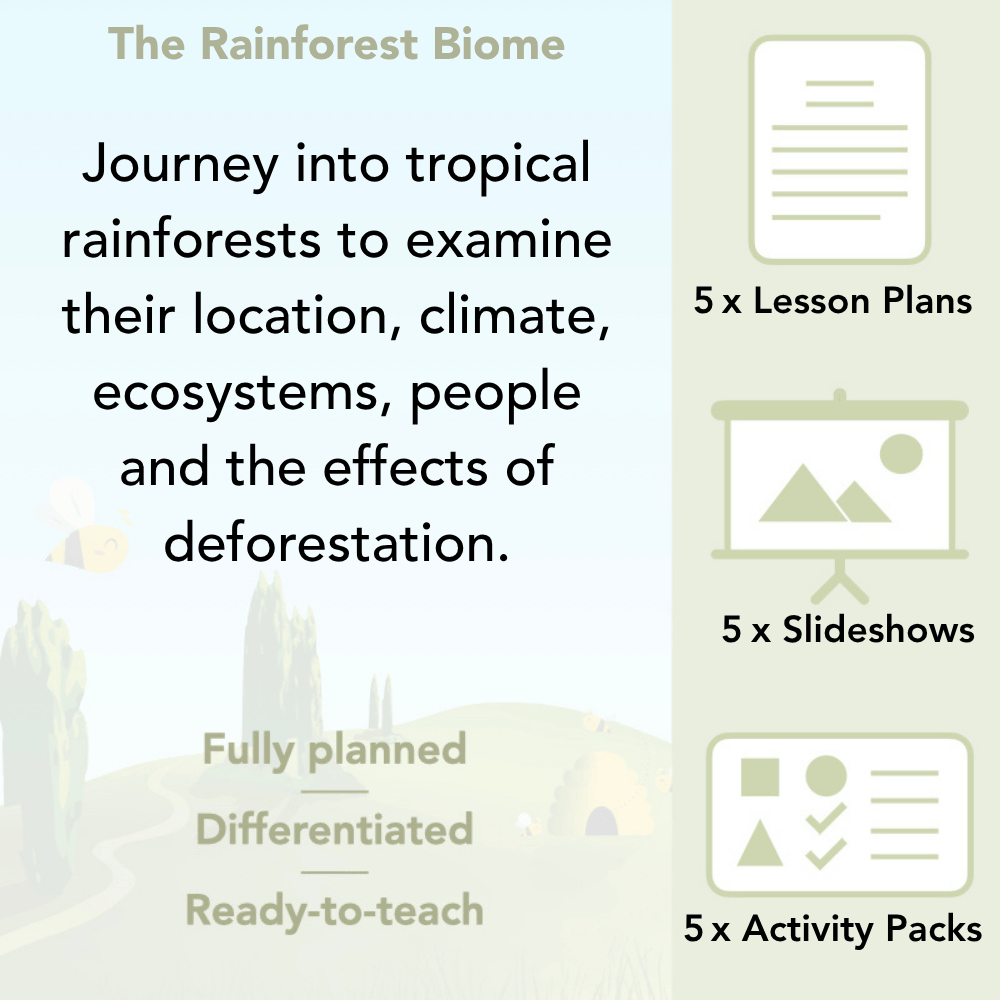 PlanBee The Rainforest Biome KS2 | Geography Lesson Pack