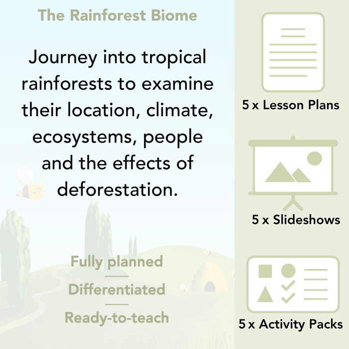 PlanBee The Rainforest Biome KS2 | Geography Lesson Pack