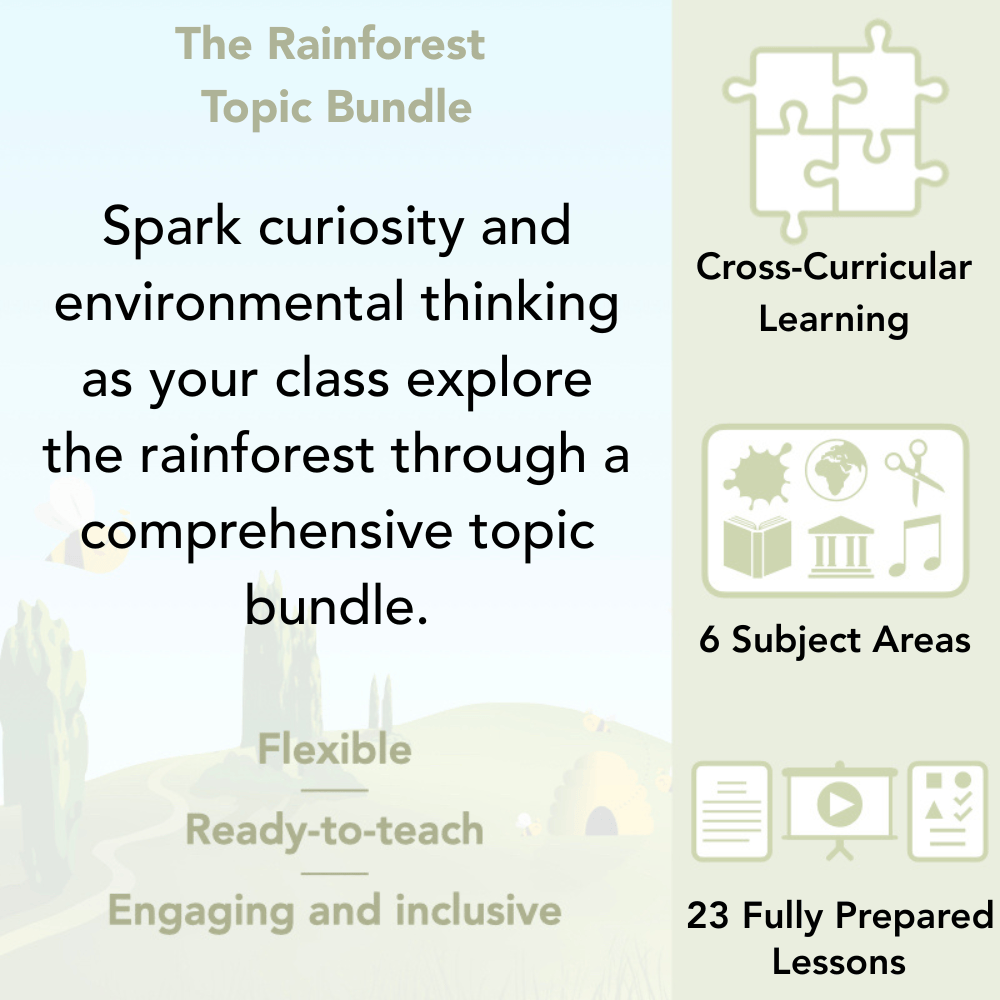 PlanBee The Rainforest KS2 Topic Bundle