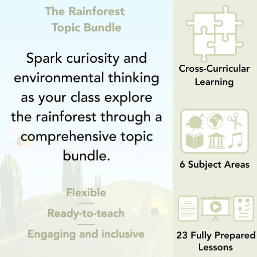 PlanBee The Rainforest KS2 Topic Bundle