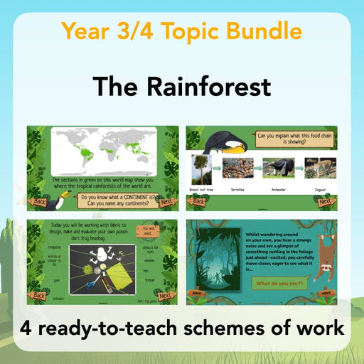PlanBee The Rainforest KS2 Topic Bundle