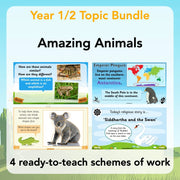 PlanBee Amazing Animals KS1 Topic Bundle by PlanBee