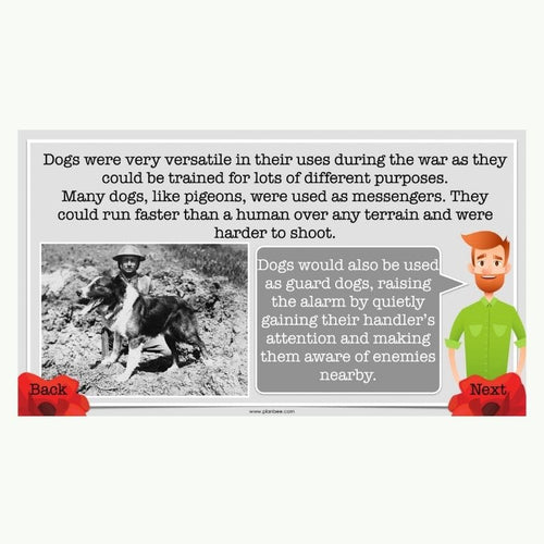 Lesson 4: Animals in WW1