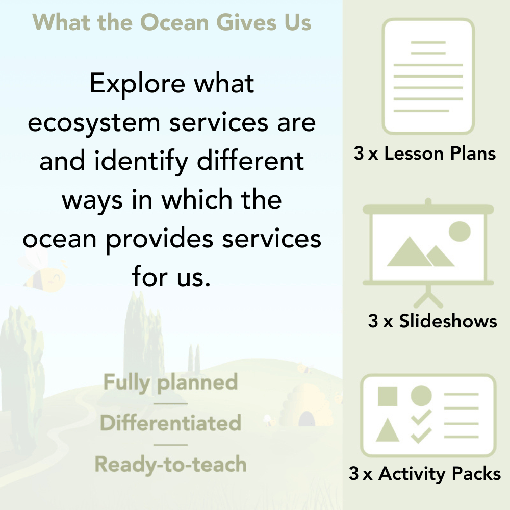 PlanBee Ocean Ecosystems KS2 ESR Lessons by PlanBee