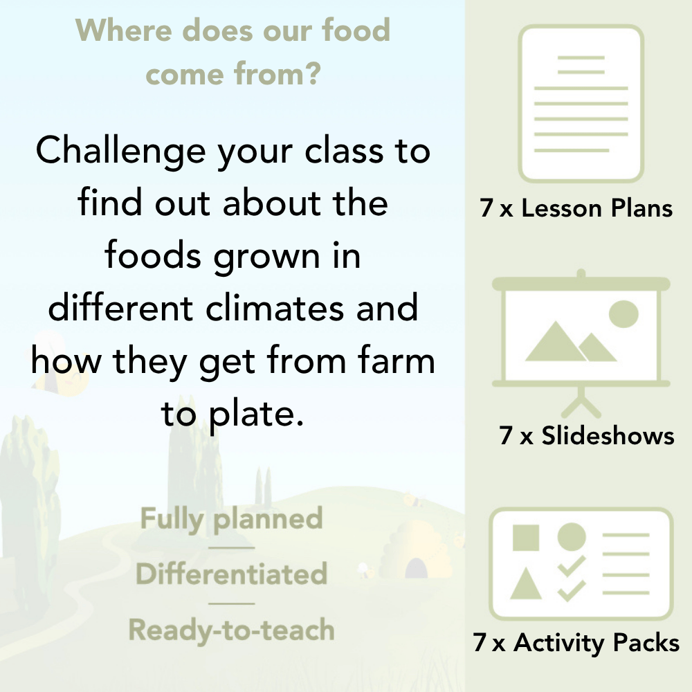 PlanBee Where Does Our Food Come From? KS2 Geography pack by PlanBee