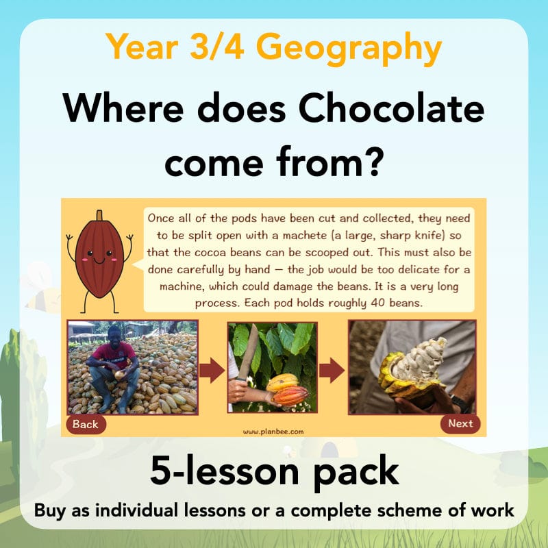 PlanBee Where does Chocolate come from? | KS2 Geography lessons