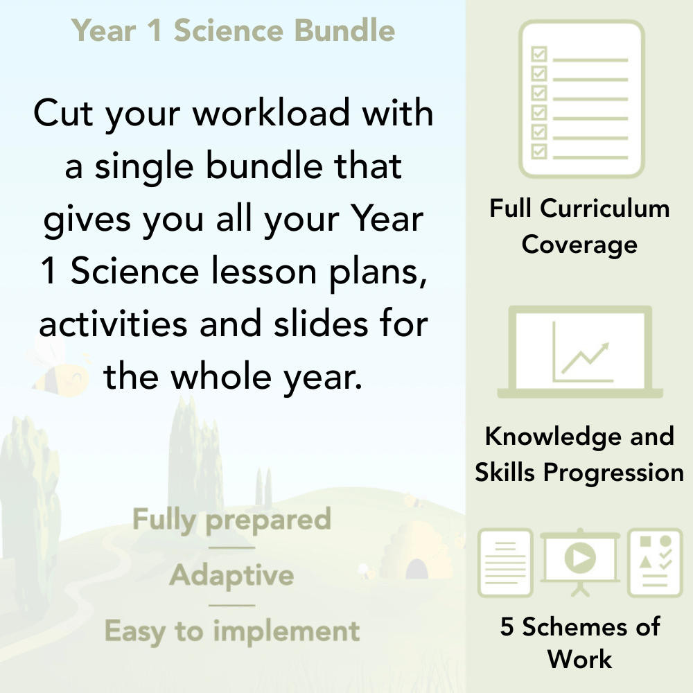 PlanBee Year 1 Science Bundle
