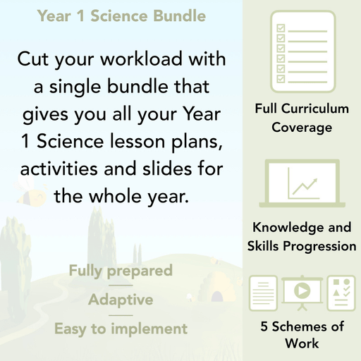 PlanBee Year 1 Science Bundle