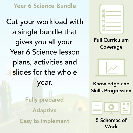 PlanBee Year 6 Science Bundle | Fully Prepared