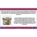PlanBee Early Civilisations KS2 History Lesson Planning by PlanBee