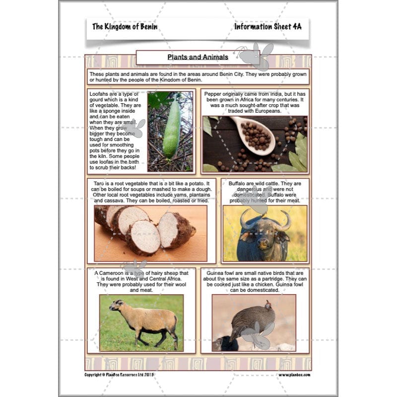 PlanBee The Kingdom of Benin KS2 History Lesson Pack by PlanBee