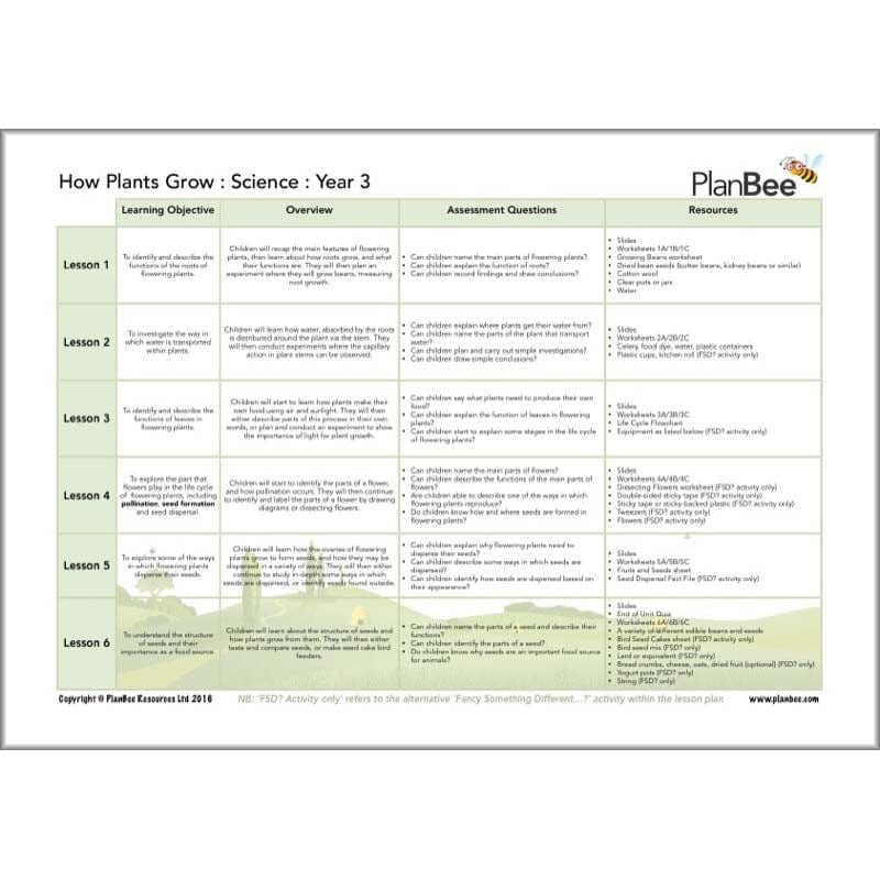 PlanBee KS2 Plants Topic Lesson Planning Pack