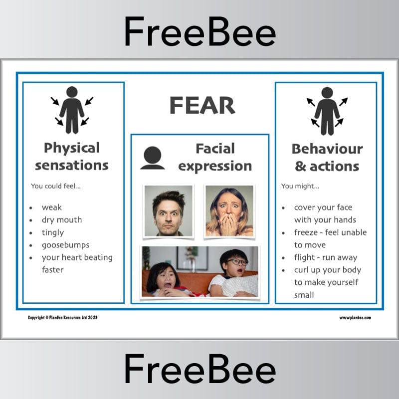 PlanBee FREE Recognising Emotions Posters by PlanBee