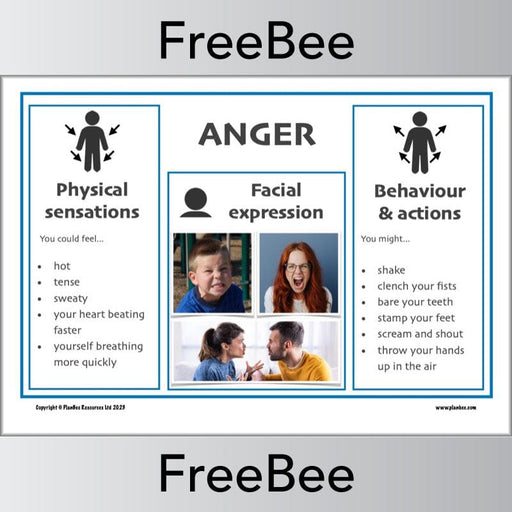 PlanBee FREE Recognising Emotions Posters by PlanBee
