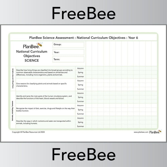 PlanBee Science Assessment Grid Year 6 | PlanBee FreeBees