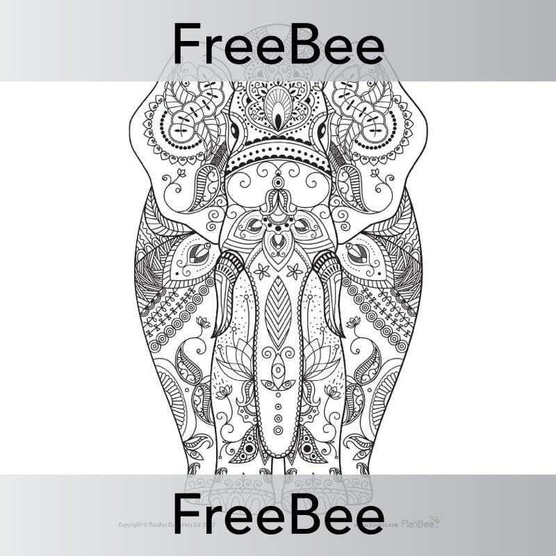 PlanBee Indian Animals Colouring Sheet | Free teaching resources | PlanBee
