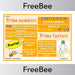 PlanBee Prime Numbers Poster | Free teaching resources | PlanBee