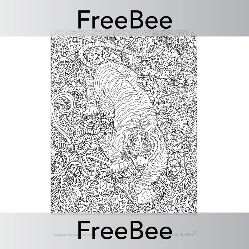 PlanBee Indian Animals Colouring Sheet | Free teaching resources | PlanBee