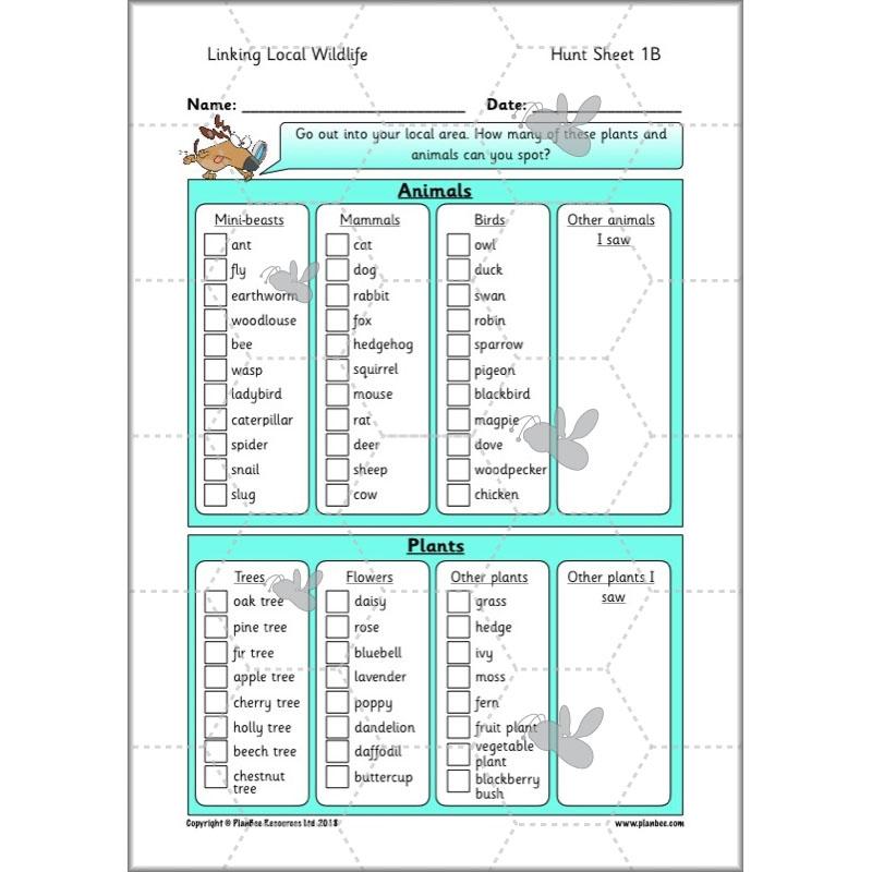 PlanBee Biodiversity KS1 Linking Local Wildlife ESR Lessons by PlanBee