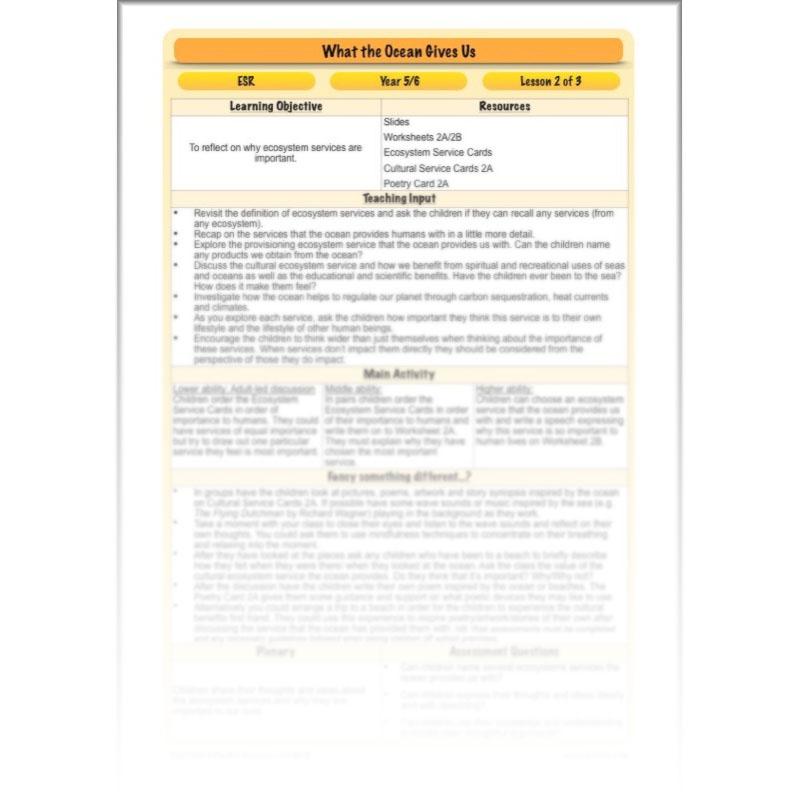 PlanBee Ocean Ecosystems KS2 ESR Lessons by PlanBee