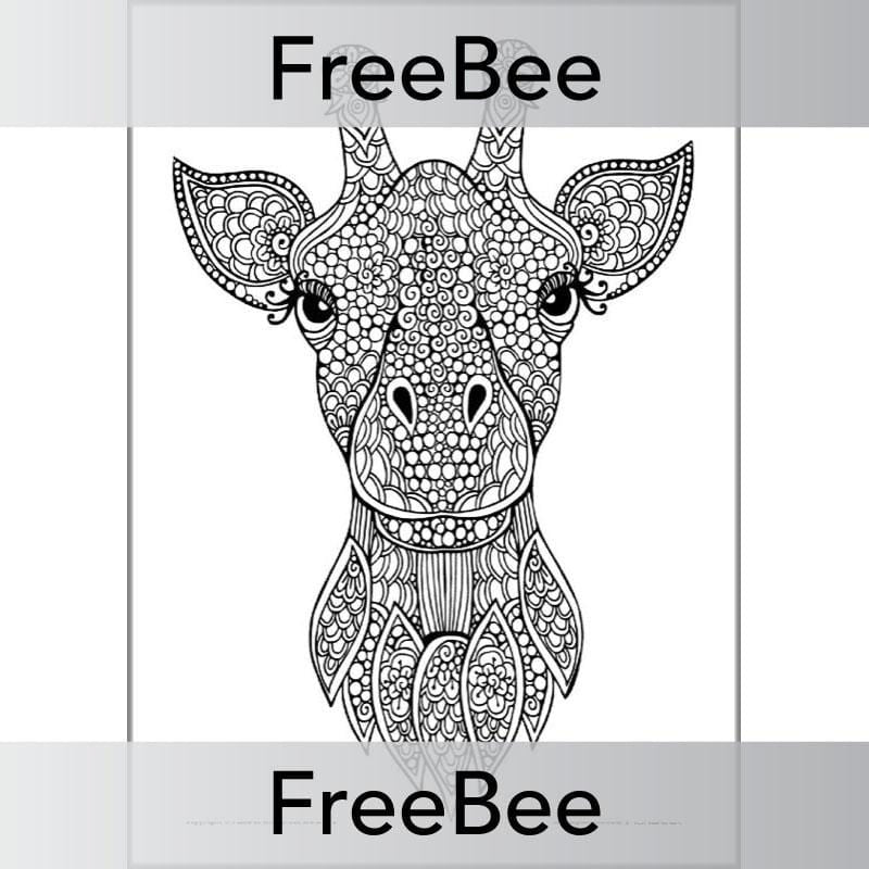 PlanBee FREE Animals Mindfulness Colouring Sheets by PlanBee