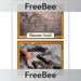 Free Fossil Footpritns KS2 Picture Cards by PlanBee