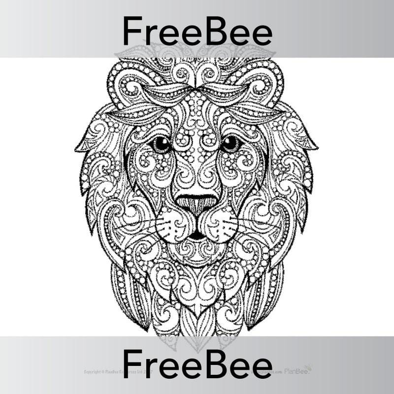 PlanBee Indian Animals Colouring Sheet | Free teaching resources | PlanBee