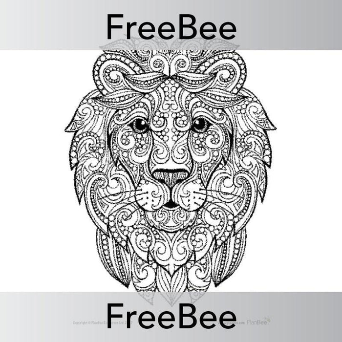 PlanBee Indian Animals Colouring Sheet | Free teaching resources | PlanBee