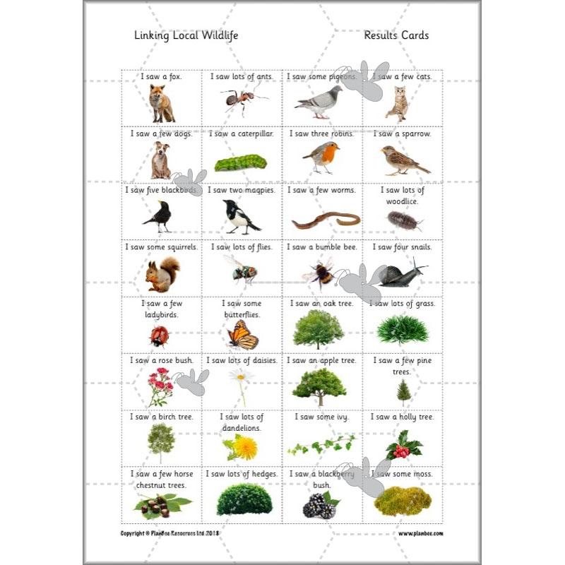 PlanBee Biodiversity KS1 Linking Local Wildlife ESR Lessons by PlanBee