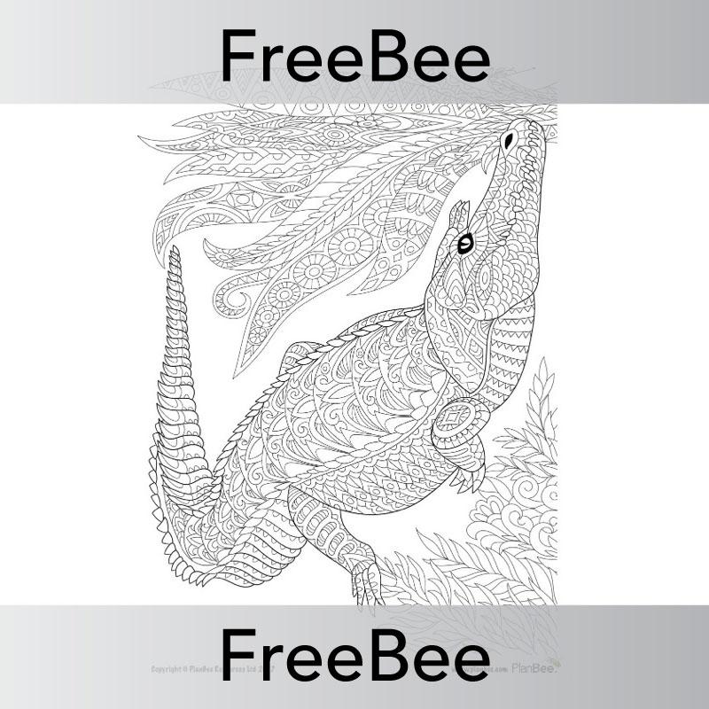 PlanBee Indian Animals Colouring Sheet | Free teaching resources | PlanBee