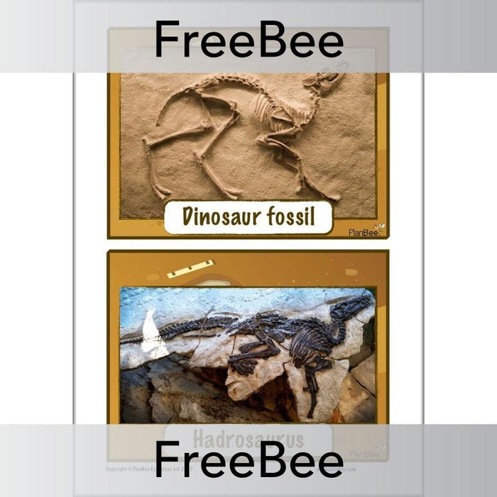 Free Dinosaur Fossil KS2 Picture Cards by PlanBee