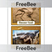 Free Dinosaur Fossil KS2 Picture Cards by PlanBee