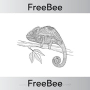 PlanBee Indian Animals Colouring Sheet | Free teaching resources | PlanBee